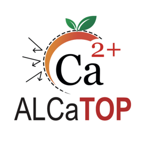 ALCaTOP