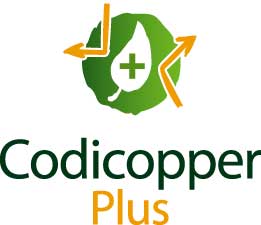 CODICOPPER PLUS