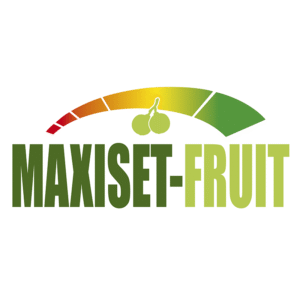 MAXISET FRUIT