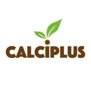 CALCIPLUS