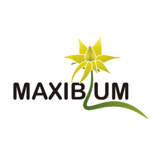 MAXIBLUM